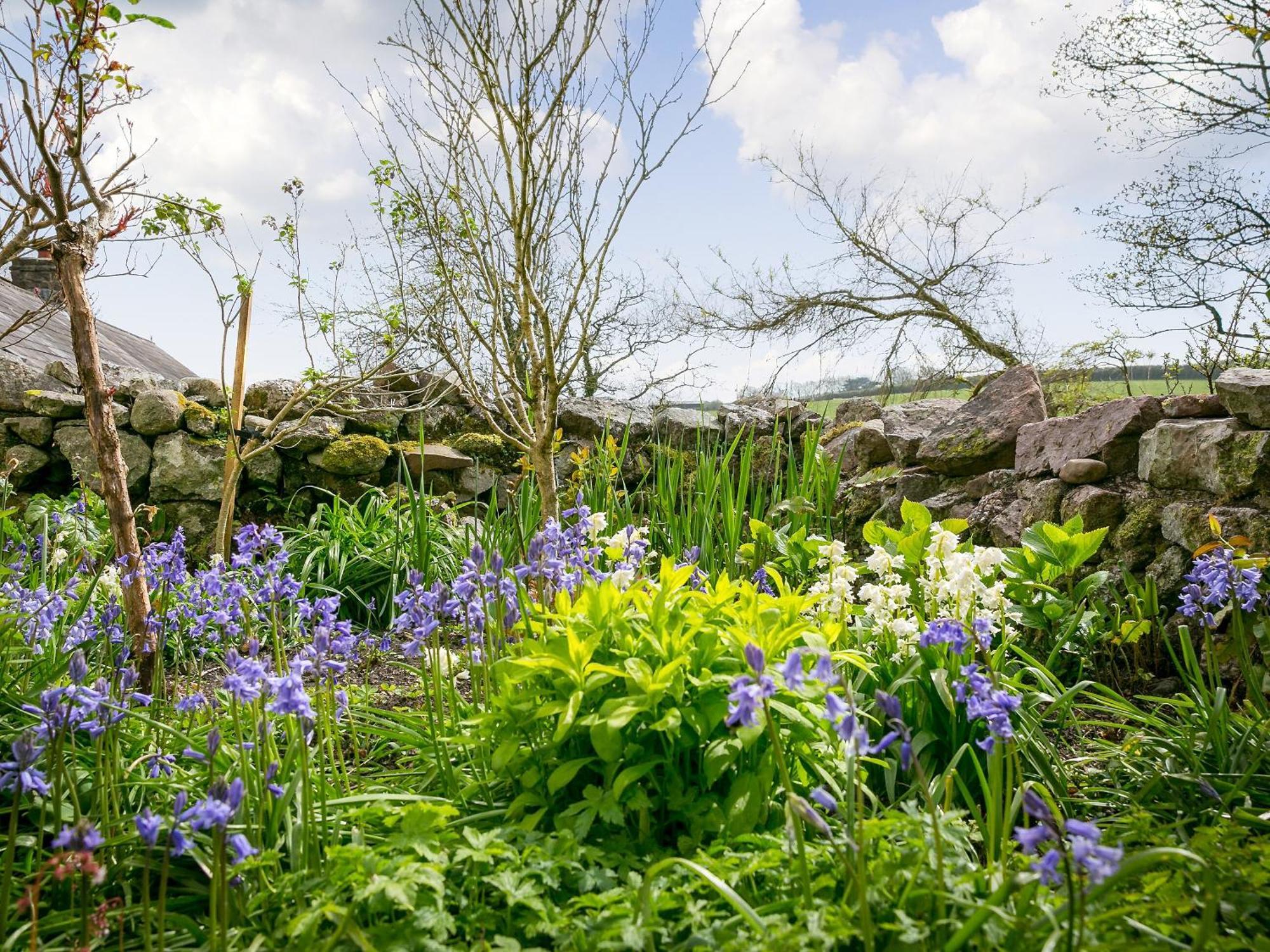 Teal Llangennith Exterior foto